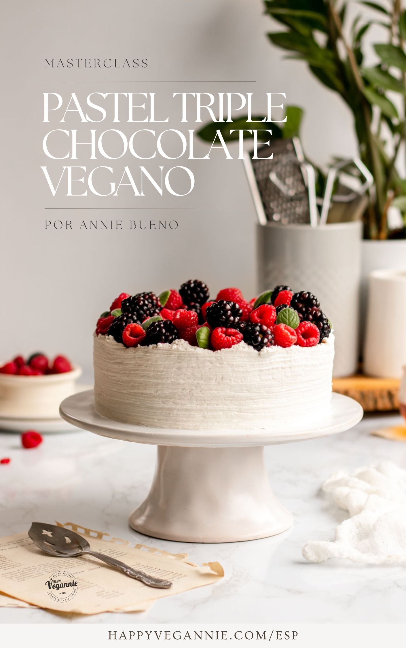 Clase Pastel Triple Chocolate Vegano